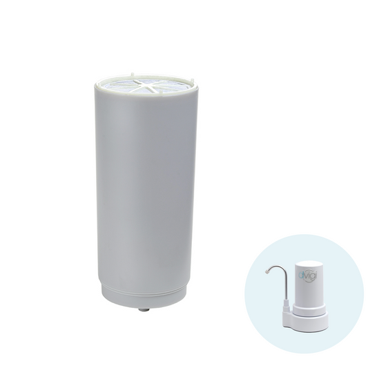 Repuesto filtro de agua Compact Dvigi
