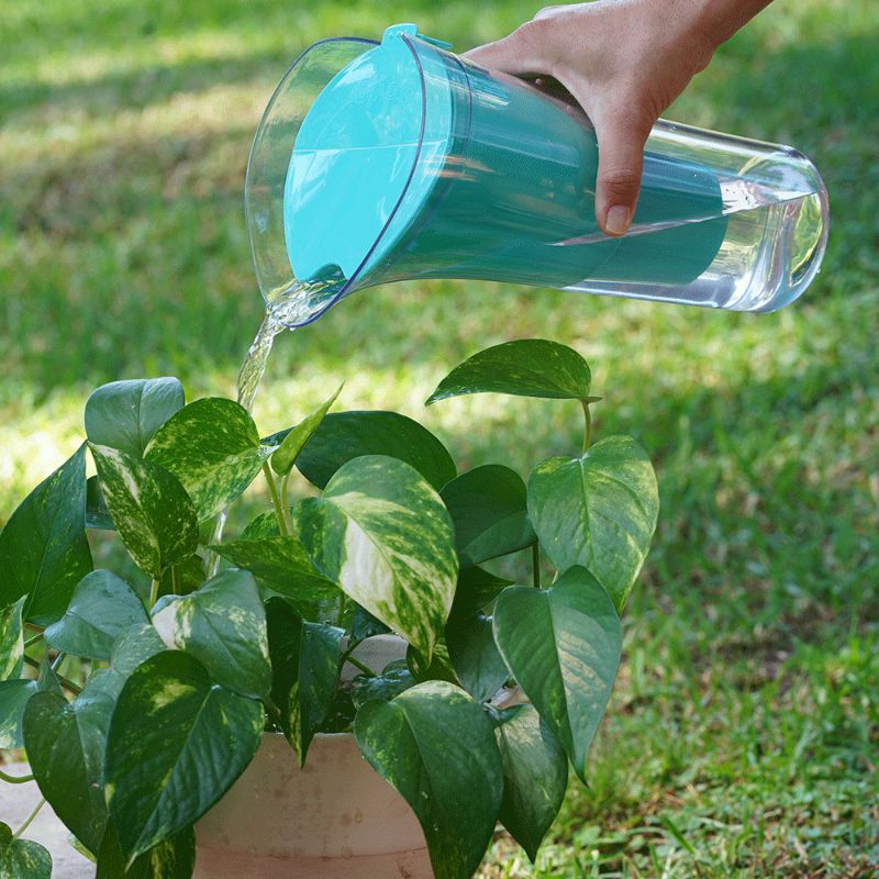 Jarra con filtro purificador de agua Dvigi